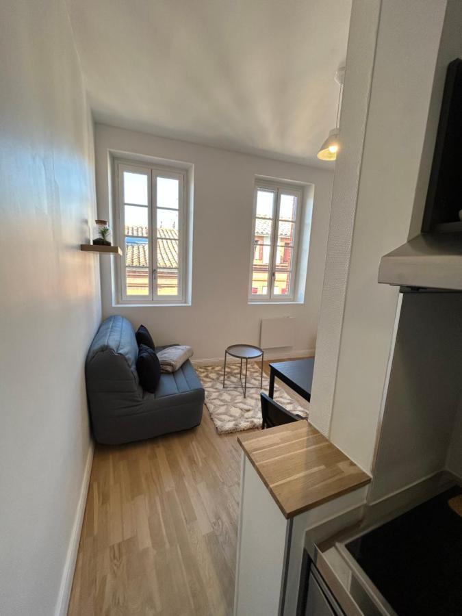 Le Cygne Blanc Apartment Тулуза Екстериор снимка